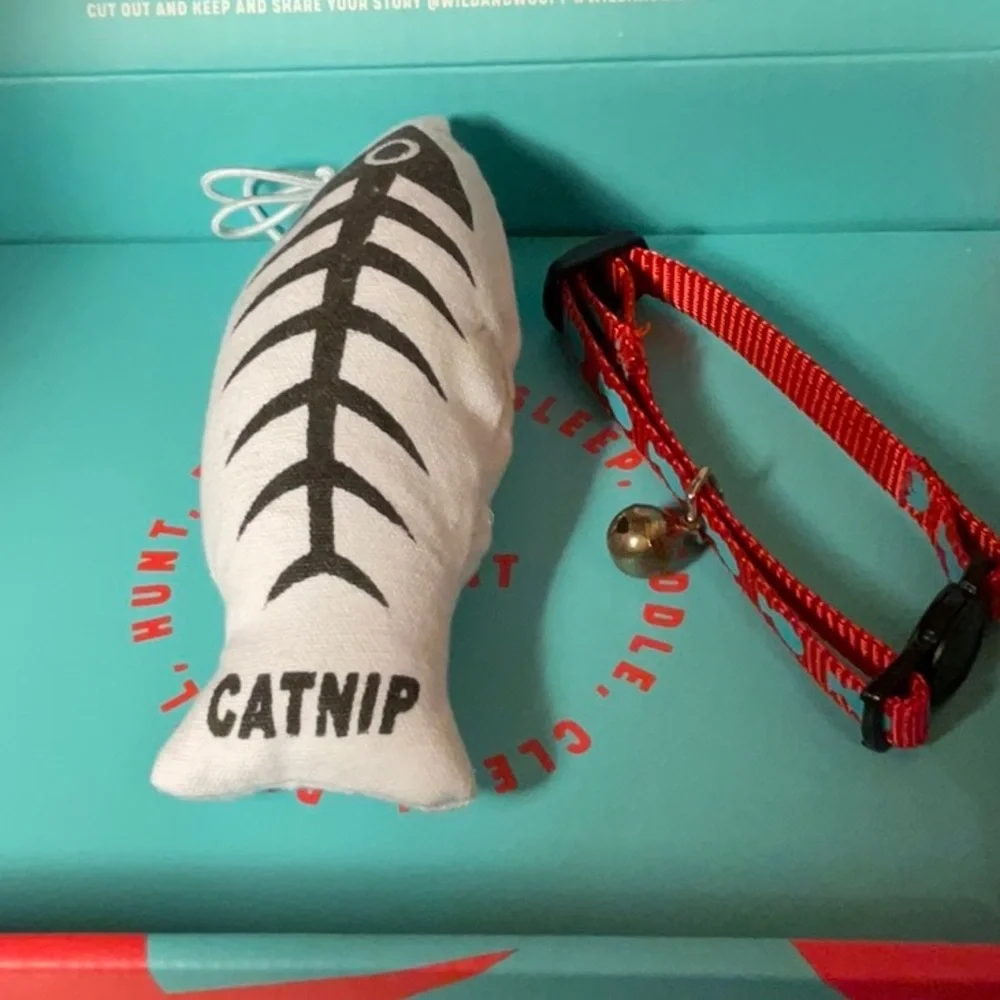EAT SLEEP PURR REPEAT-new cat starter kit-“FEED ME MEOW” bowl, collar, 2 toys